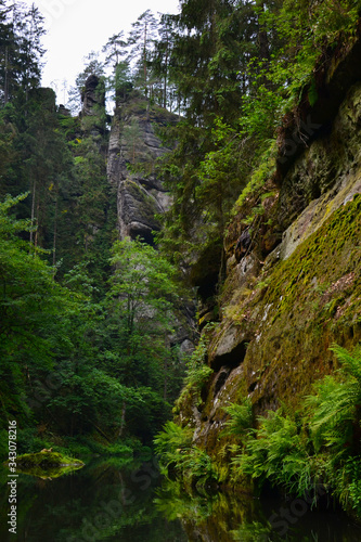 Wild gorge  H  ensko  Czechia 