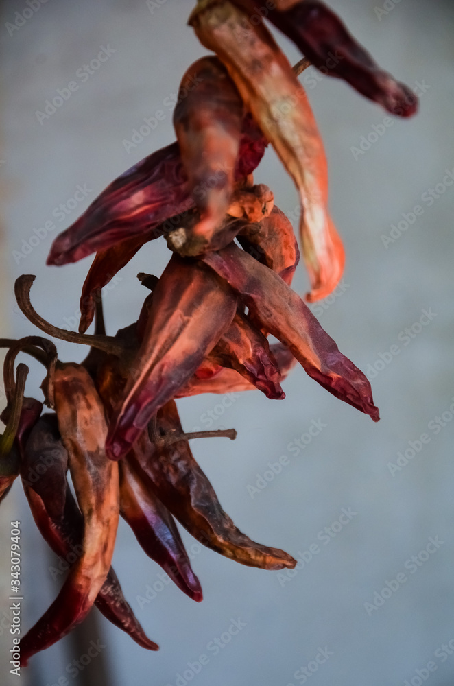 A bunch of dried red hot chili peppers on a gray wall background