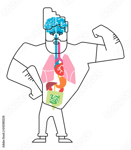 Body Anatomy of a strong muscular man. Body anatomy with internal organs. Human body physiology isolated on white background vector illustration.
