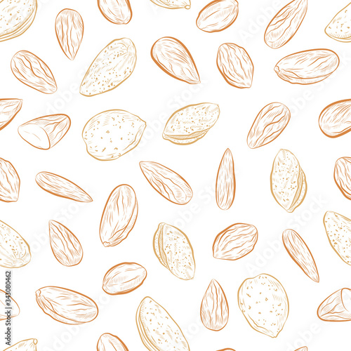 Almond nuts seamless pattern. Outline nut on white background endless pattern.