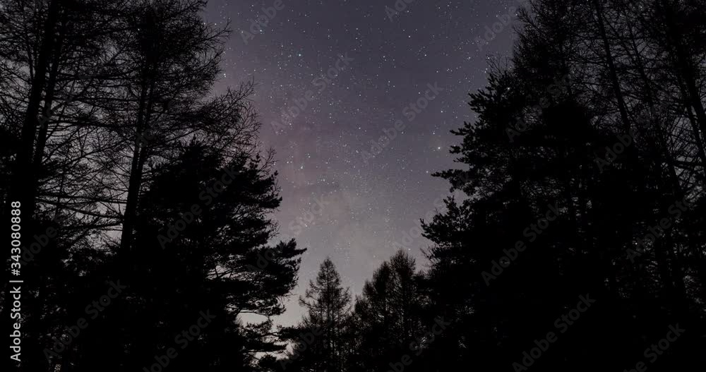 Milky Way over a Forest at Night (Time Lapse/Tilt Up) Milky Way over a Forest at Night (Time Lapse/Tilt Up)