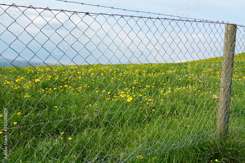 A a metal wire fence surrounding a pasture in detail with electric line 