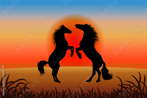 Romantic horse background - two stallions reared against the sunset