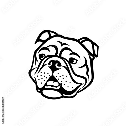 English bulldog face - isolated outlined vector illustration
