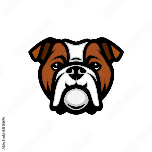 English bulldog face