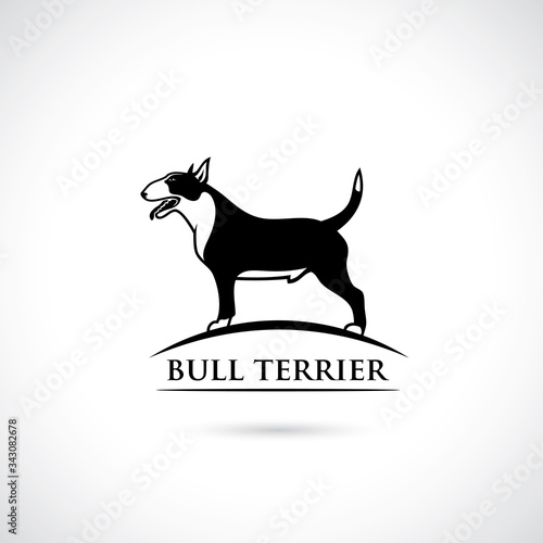 Bull Terrier dog - vector illustration
