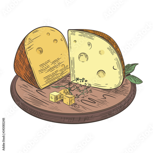 Cheese lies on a wooden cutting board. Vector retro illustration.