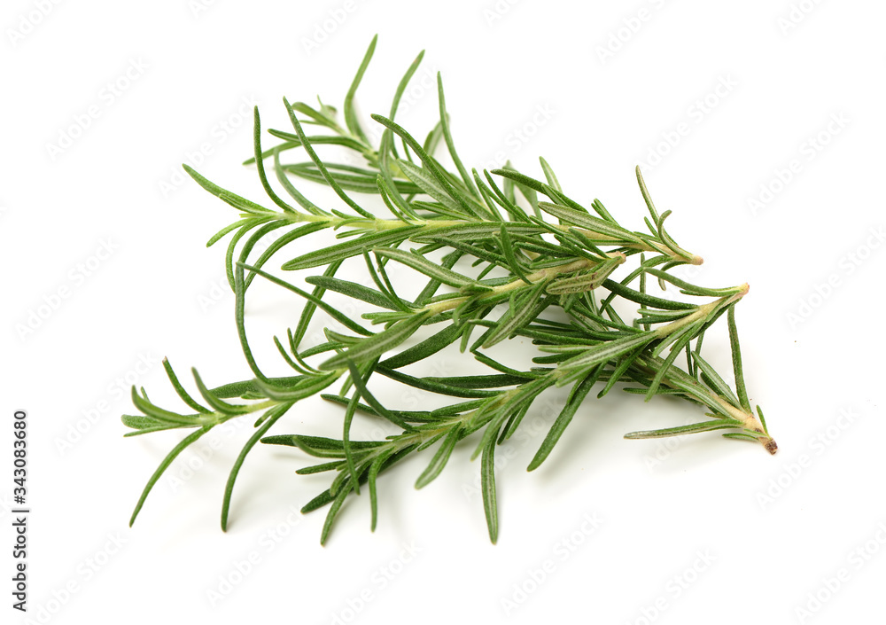 Branch of rosemary on white background. Branch of rosemary on white background.