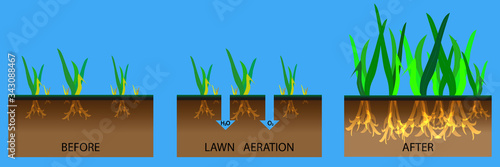 Lawn aeration stage illustration. Lawn aeration process steps before and after, lawn grass. Gardening grass lawncare, landscaping service