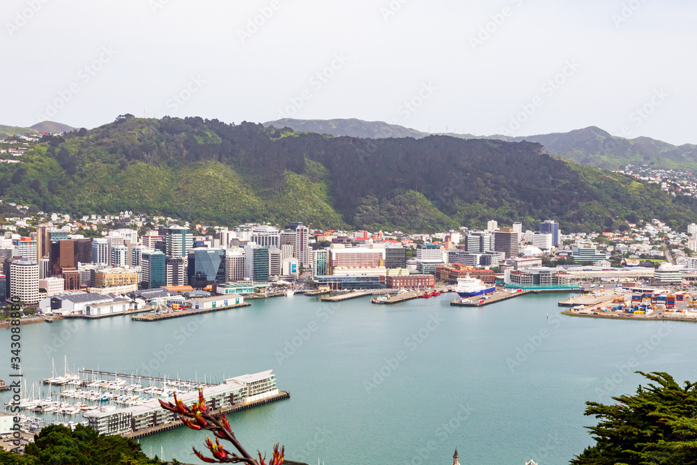 Wellington is the capital of an island nation. North Island, New Zealand
