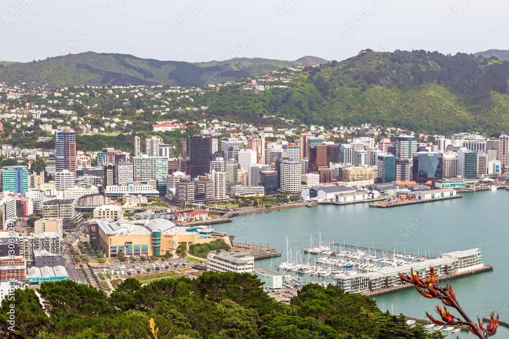 Top view of the city of Wellington. New Zealand