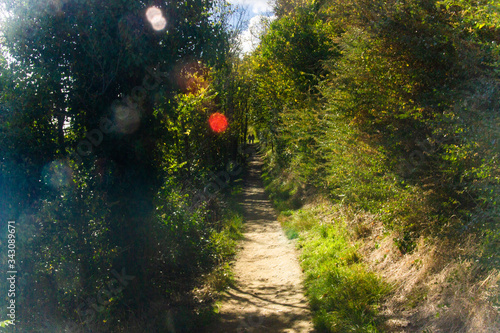 Plerin, Brittany, France - October 6 2019: Plerin coastline path photo