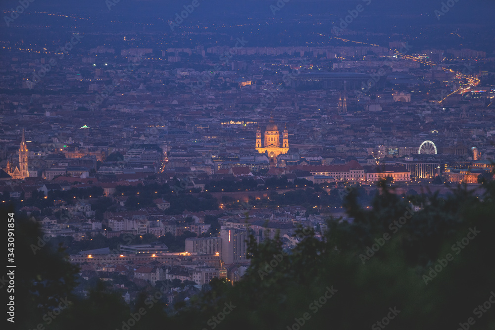 Fototapeta premium Budapest panorama at night