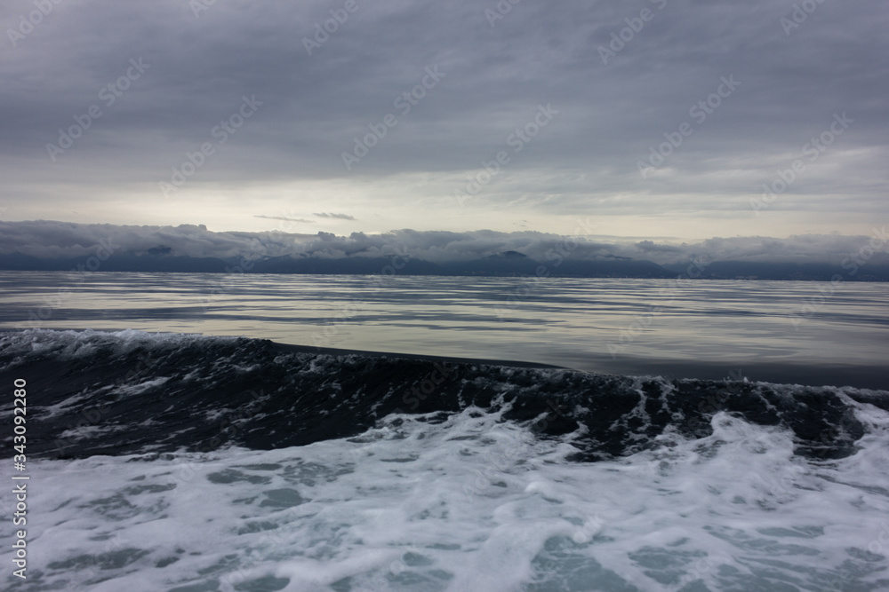 Sea during a storm. Raging wave in the ocean. Sea foam.