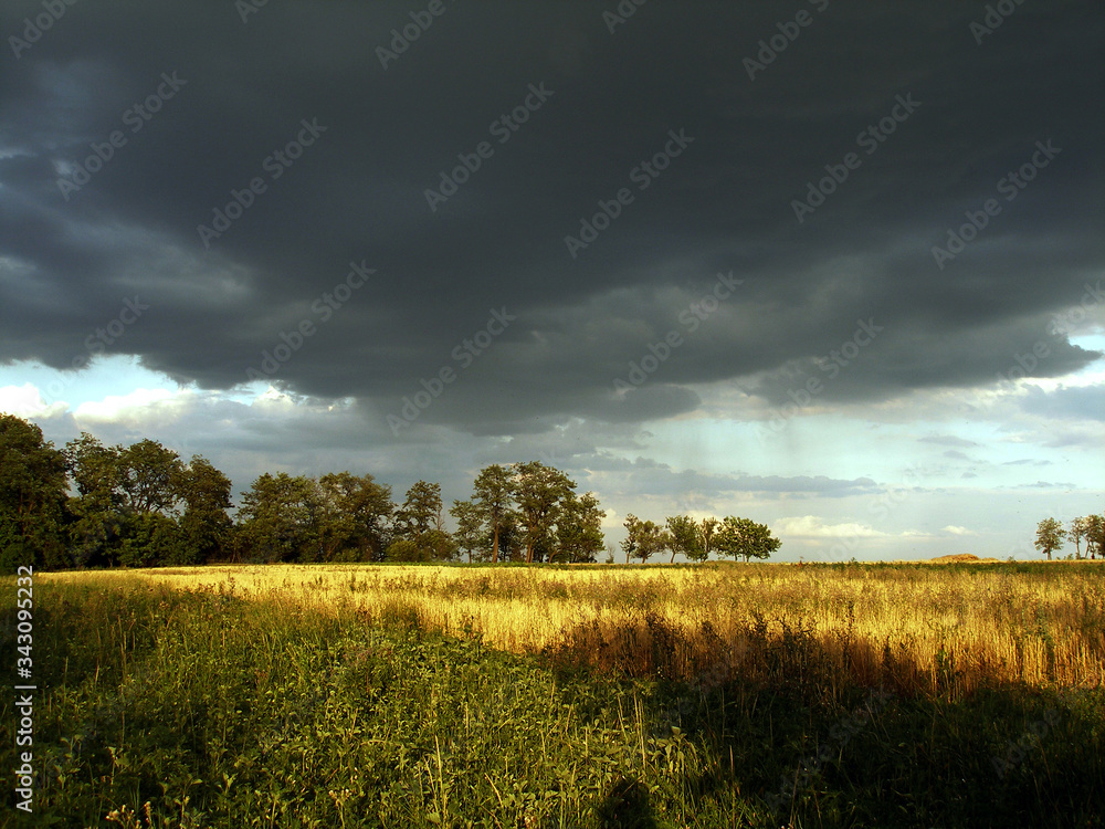 Obraz premium Landscape thunderclouds over the field and trees on a summer day
