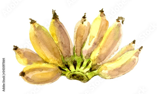 banana watercolor