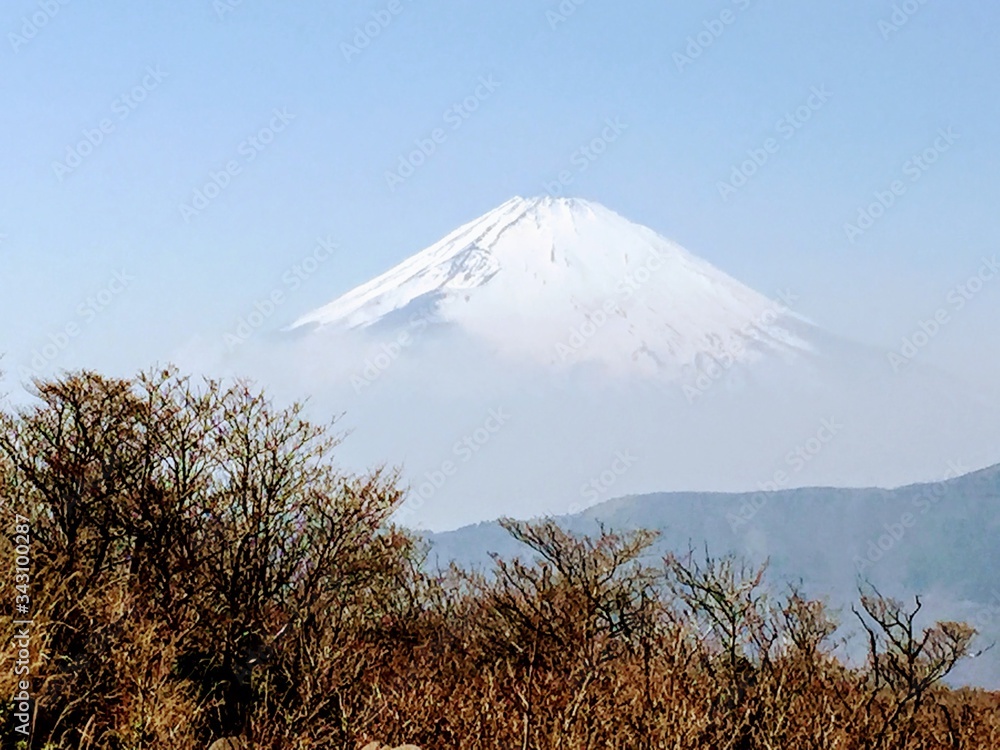 Obraz premium Japan Series: Fuji Mountain: 