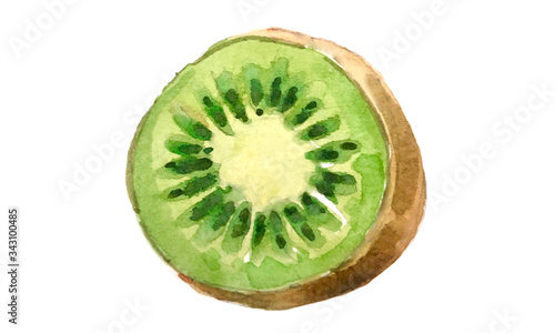 kiwi watercolor