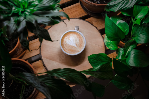 Top view of cappuccino coffee in white cup lay on brown wood table with plants and green leaves around