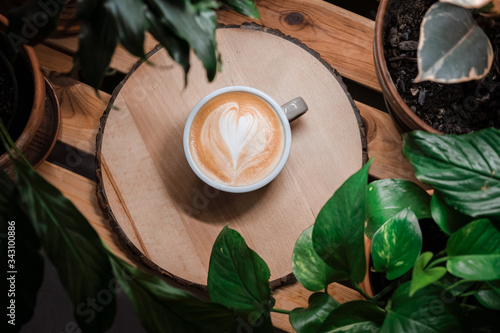 Top view of coffee in white cup and delicious foam lay on wood table with plants around