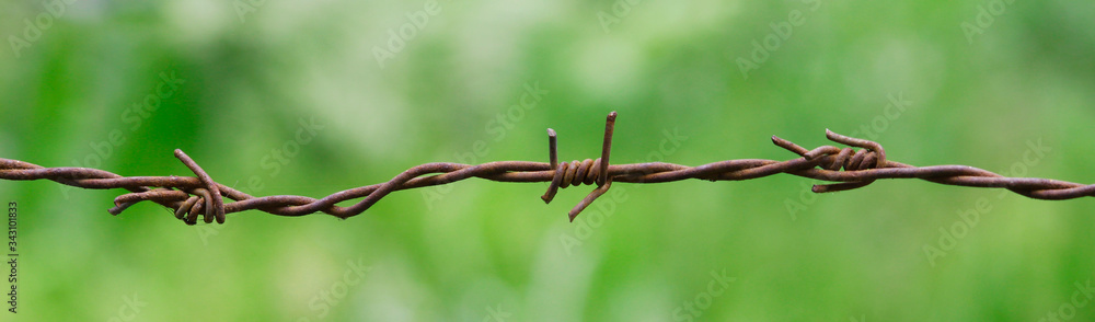 barbed wire fence barbed wire fence