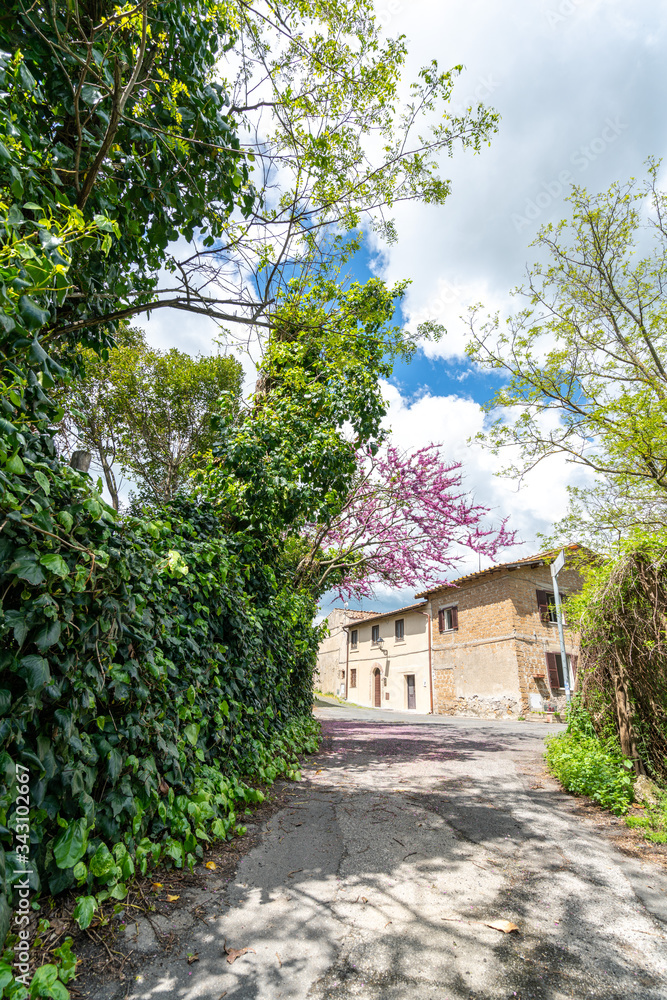 A flowering tree surrounded by greenery