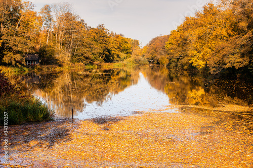 autumn in the park