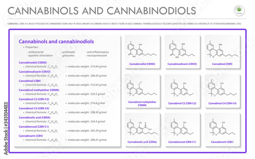 Cannabinol and Cannabinodiol CBN with Structural Formulas in Cannabis horizontal business infographic illustration about cannabis as herbal alternative medicine and chemical therapy, vector. © About time