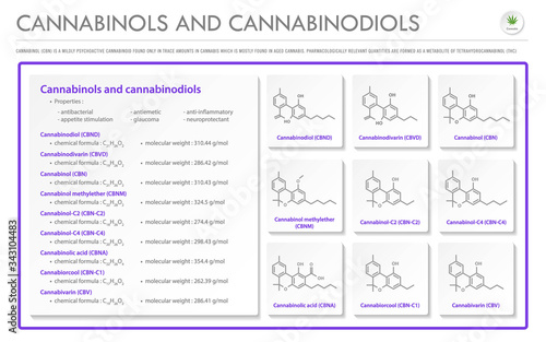 Cannabinol and Cannabinodiol CBN with Structural Formulas in Cannabis horizontal business infographic illustration about cannabis as herbal alternative medicine and chemical therapy, vector.