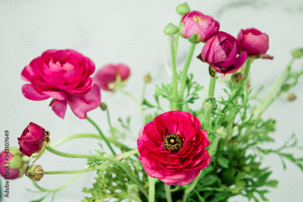a simple bouquet of hot pink magenta ranunculus with bright green stems and leaves in a vase against a white and gray marbled background a simple bouquet of hot pink magenta ranunculus with bright green stems and leaves in a vase against a white and gray marbled background