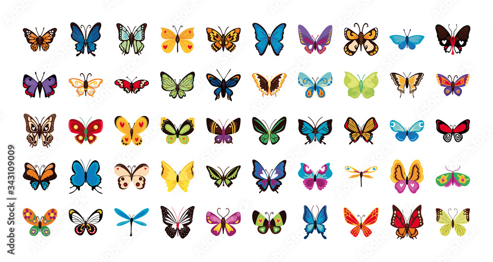 bundle of butterflies set icons bundle of butterflies set icons