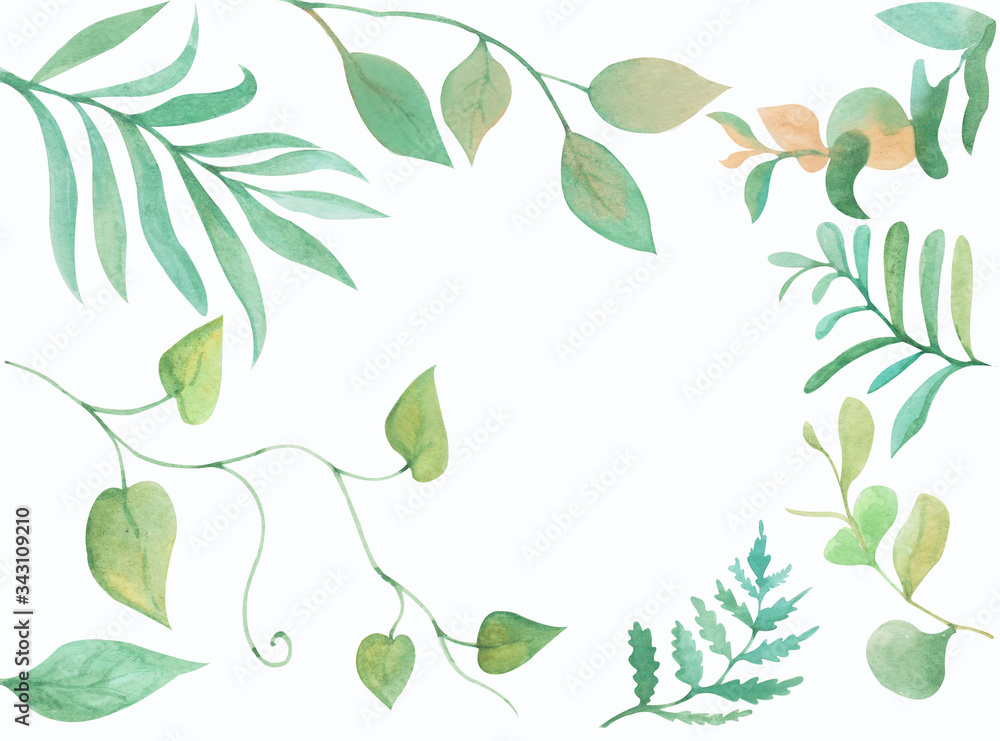 the branches of plants the branches of plants