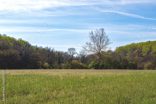 Landscapes near my home