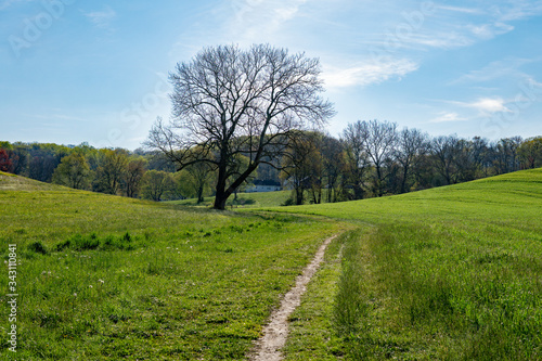Landscapes near my home