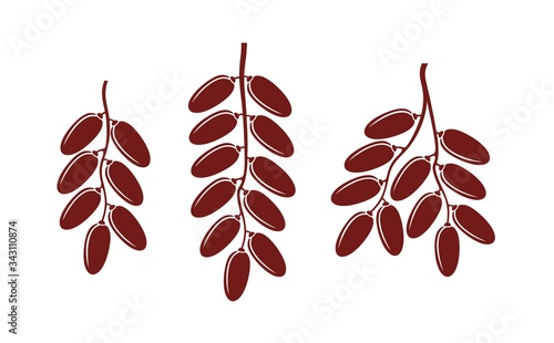 Date fruit logo. Isolated date fruit on white background