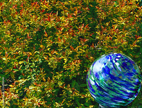 Assorted nature photos from West Chester