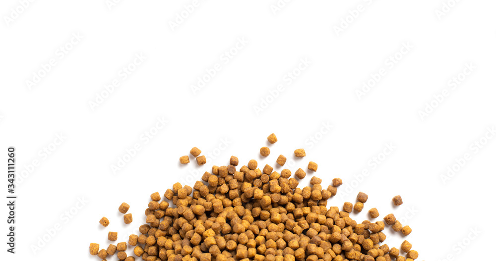 Above or Top view of animal food. Brown Dried dog food on white background. Grain pet food banner background with copy space for text design. Above or Top view of animal food. Brown Dried dog food on white background. Grain pet food banner background with copy space for text design.