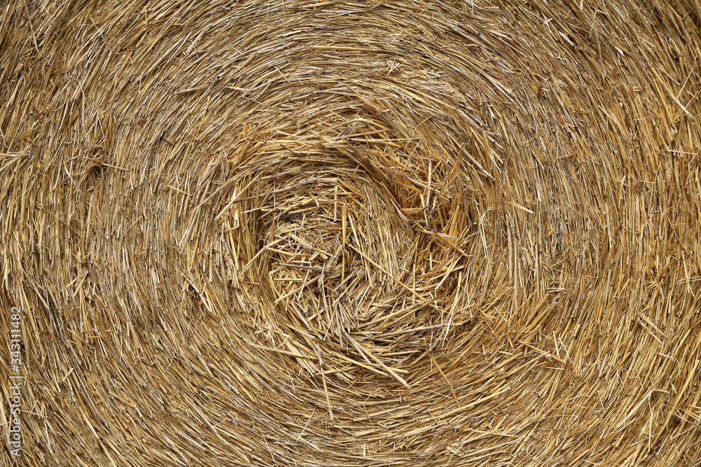The texture of the pressed straw roll close-up The texture of the pressed straw roll close-up