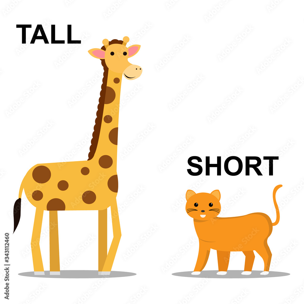 Tall Short Comparison Kids Vector Illustration Stock Vector