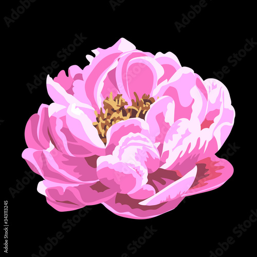 Isolated pink peony vector in gouache style