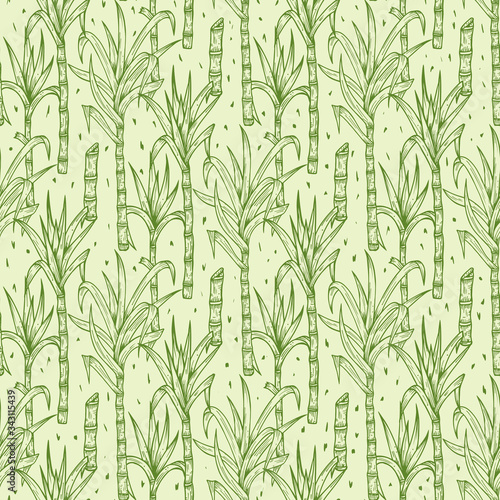 Fototapeta Naklejka Na Ścianę i Meble -  Hand Drawn Sugarcane Plants Vector Seamless Pattern. Sugar cane stalks with leaves endless background
