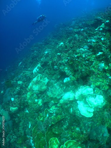 scuba diver caribbean sea Bonaire