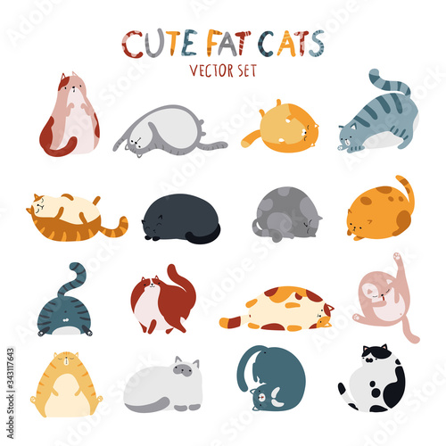 Cute fat cats of different breeds in various poses. Vector set Childish hand-drawn illustration in simple cartoon style in pastel colors.