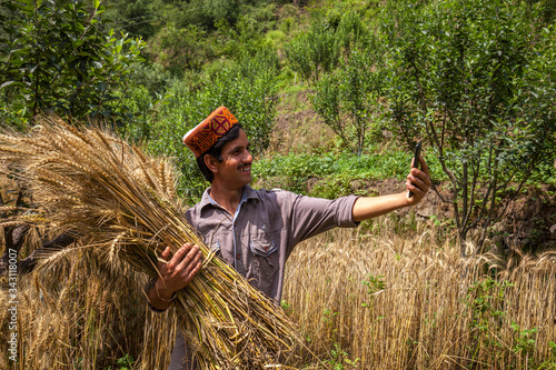 Canvas Print man with traditional himachali cap and taking selfie with wheat crops in his fie