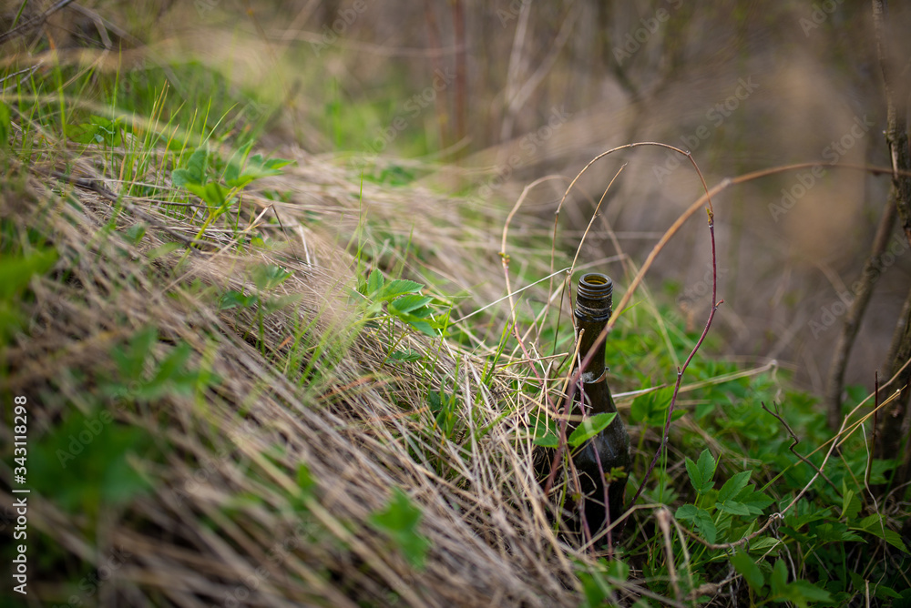 Obraz premium Old bottle on grass