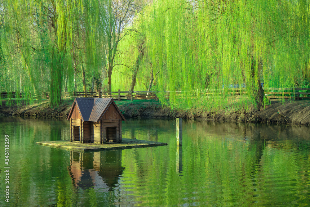 animal care bird house float on water surface in park summer day time nature scenic environment space animal care bird house float on water surface in park summer day time nature scenic environment space