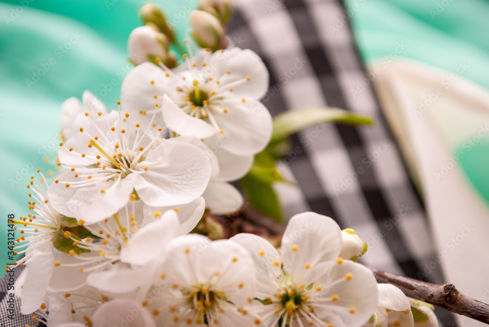 Fototapeta premium flowering trees, branch, cherry blossoms, spring, background for postcards, composition.
