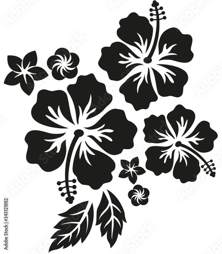hibiscus et tiaré