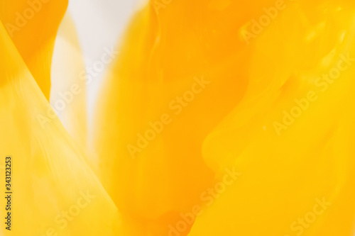 Wallpaper Mural Orange fresh Torontodigital.ca