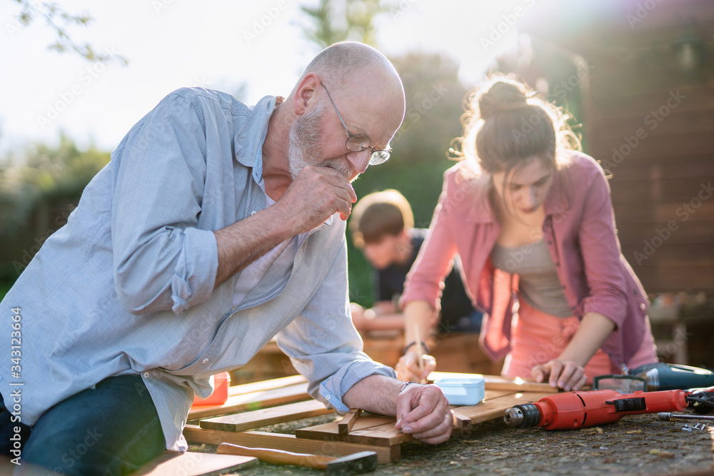 A man and his family are building wooden planters for their vegetable garden - obrazy, fototapety, plakaty 